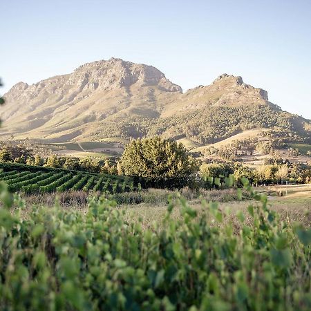 Le Pommier Wine Estate Villa Стеленбош Екстериор снимка