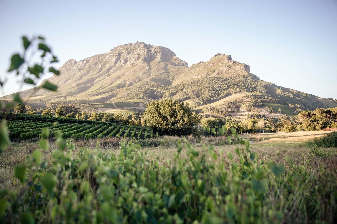 Le Pommier Wine Estate Villa Стеленбош Екстериор снимка